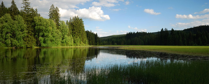Huťský rybník v Novohradských horách - Jižní Čechy