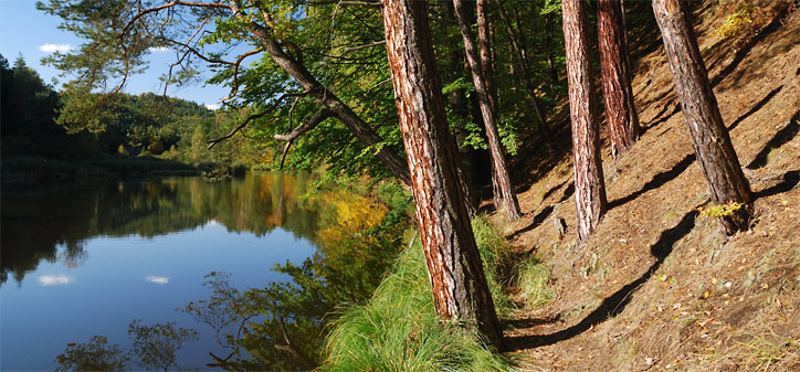 Podzim u rybníku u Vrby - Kokořínsko