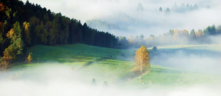 Podzimní mlhy v Českém Švýcarsku (foto Michal Němejc)